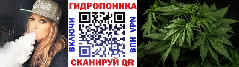 Шишки марихуана семена Балахна